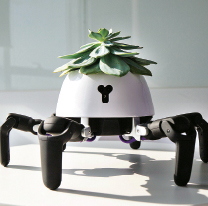 06586003e23797c1978c274961df48c1_MD5 /media/06586003e23797c1978c274961df48c1_MD5.jpg