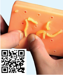 5ec734d317e816f838f0b77ed40740e3_MD5 /media/5ec734d317e816f838f0b77ed40740e3_MD5.jpg